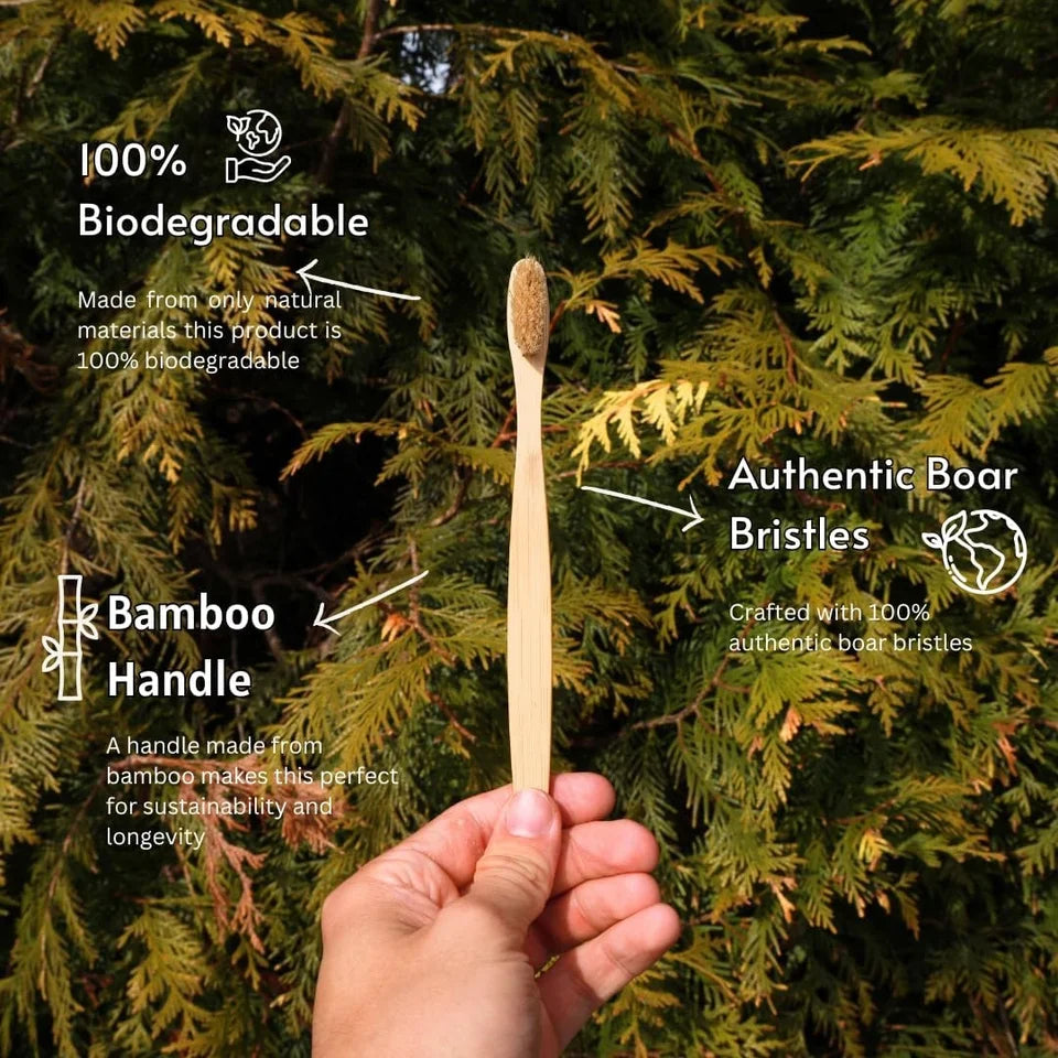 100pcs Horse Bristles & Bamboo Toothbrushes Premium Boar Bristle Toothbrush for Adult Eco-Friendly Biodegradable Zero Waste
